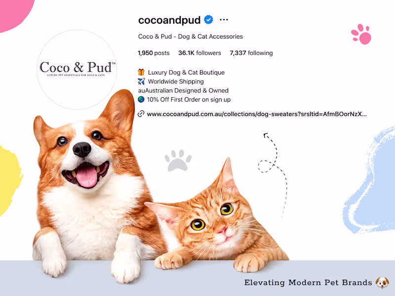 Cover image for Performance marketing and Social Media Management for Coco a...