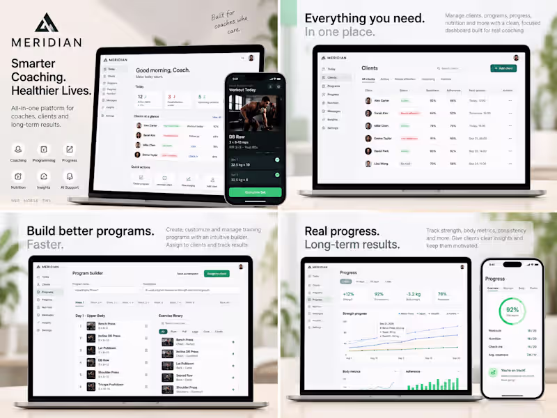Cover image for MERIDIAN is a self-initiated product