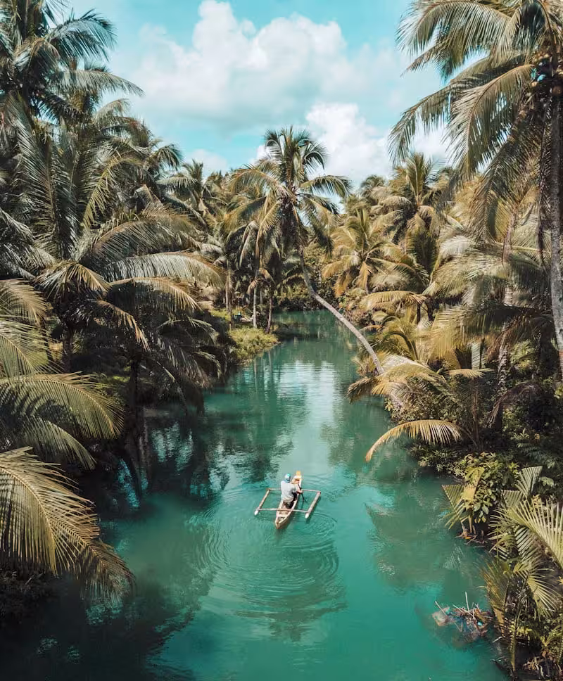 Cover image for  Airbnb Clone