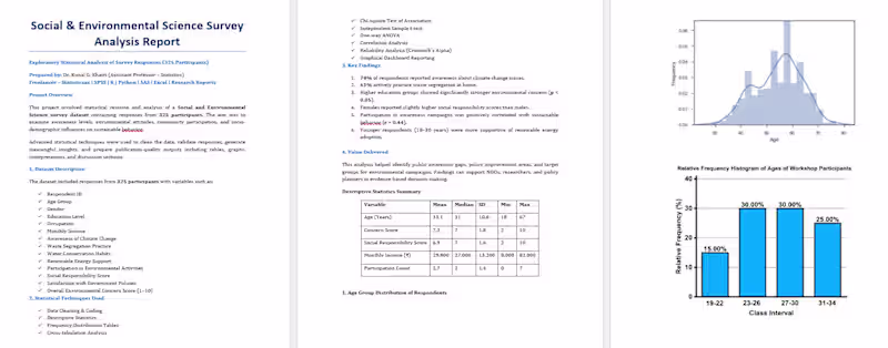 Cover image for This project involved statistical revision