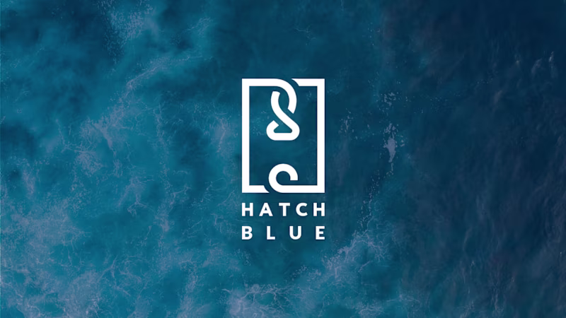 Cover image for Hatch Blue