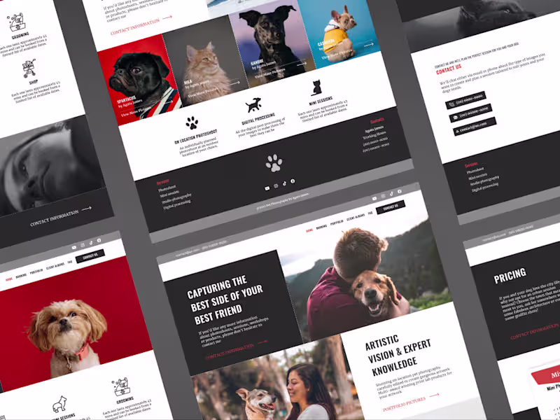 Cover image for WordPress Website Design and Development