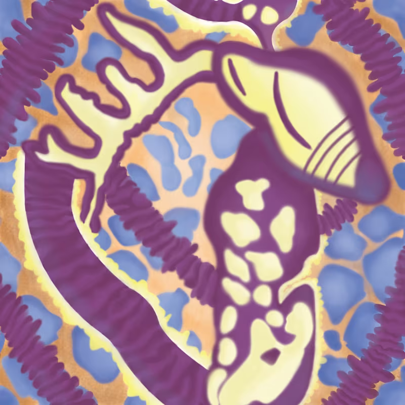 Cover image for prints 