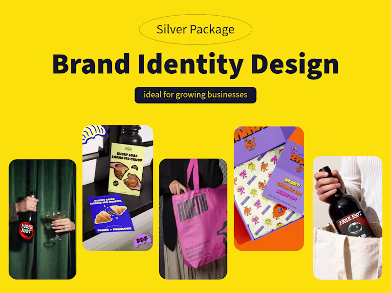 Cover image for Silver Package —  Brand Identity Design