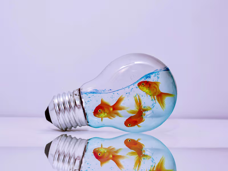 Cover image for ART OF DESIGN