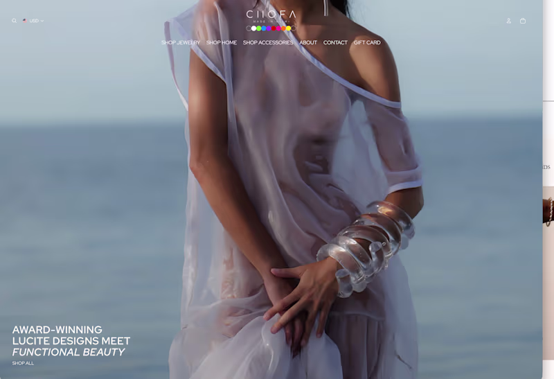 Cover image for WEBSITE DESIGN
