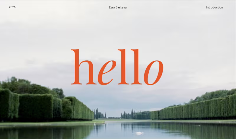 Cover image for Portfolio Presentation