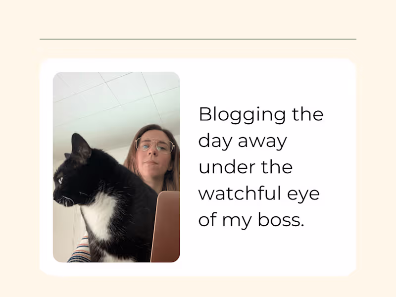 Cover image for Blog Creation