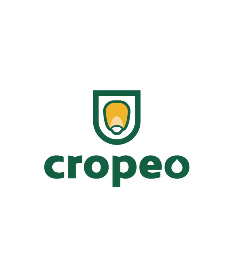 Cover image for CropEO
~ Brand Identity & Graphic