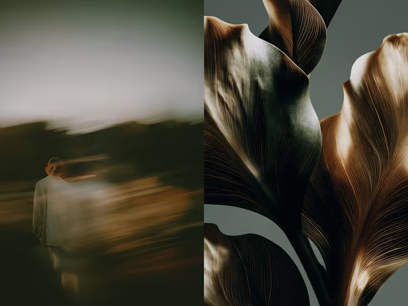 Cover image for Editorial + Brand Imagery. 12 Images