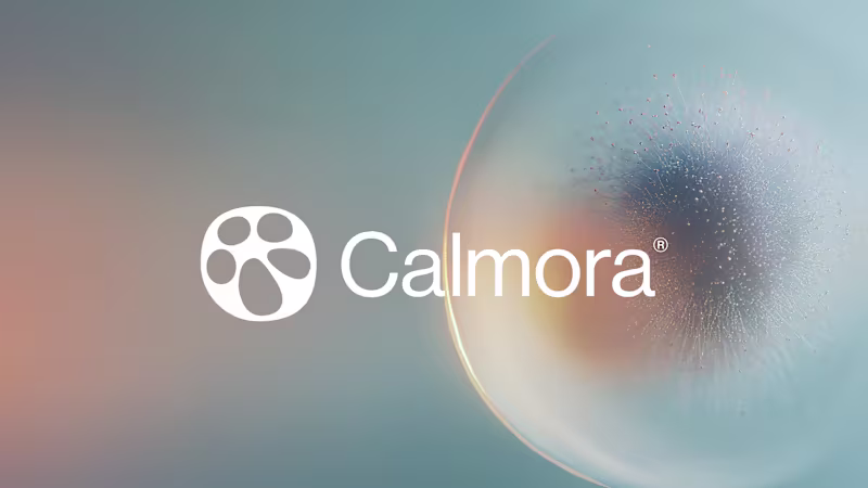 Cover image for Calmora - supplement brand identity