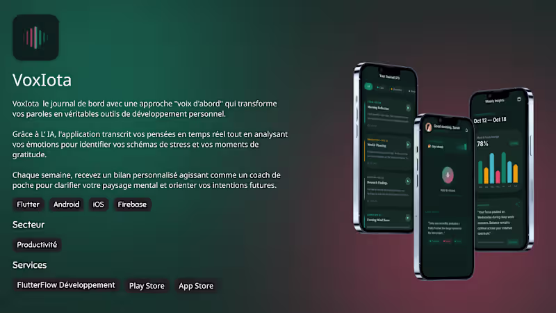 Cover image for VoxIota