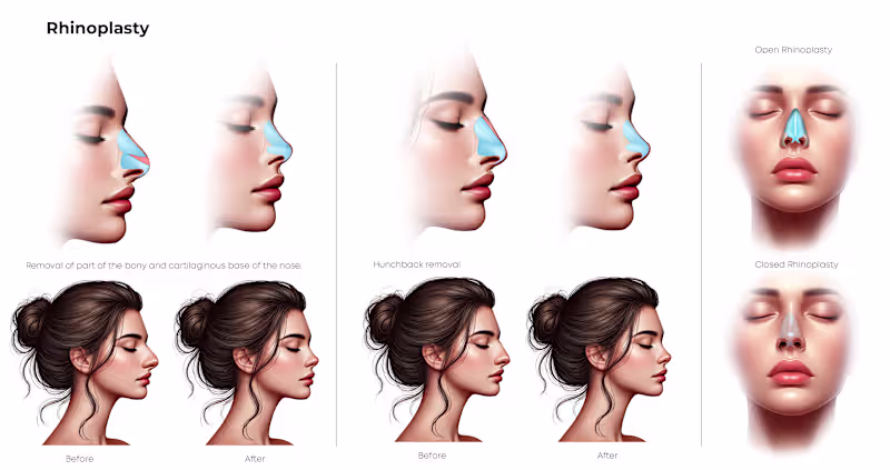 Cover image for  Anatomically Accurate Medical Illustration / Visualization