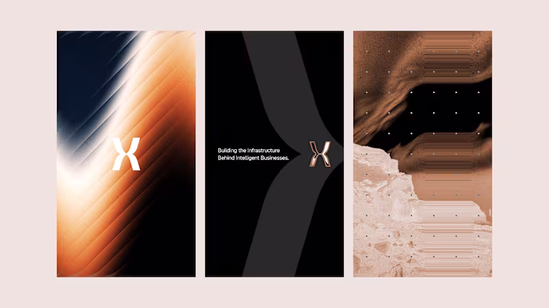 Cover image for branding cards for xynex