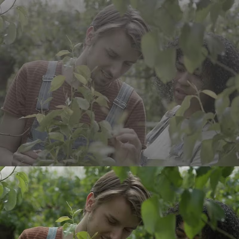 Cover image for Color Grading Journey with Kevin Kessels