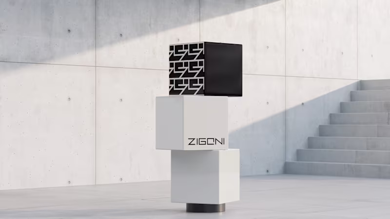 Cover image for Visual Identity for Zigoni