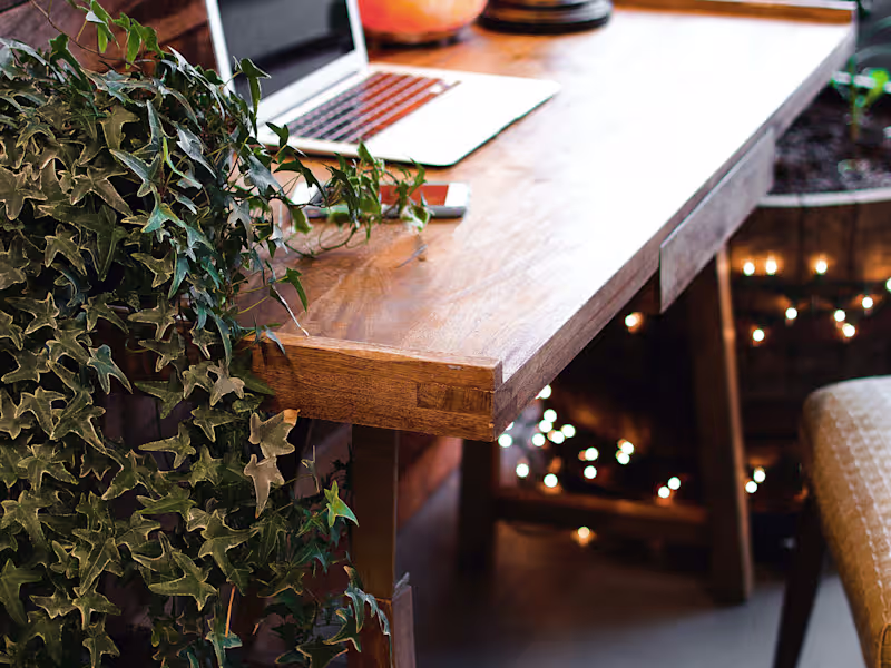 Cover image for Website creation