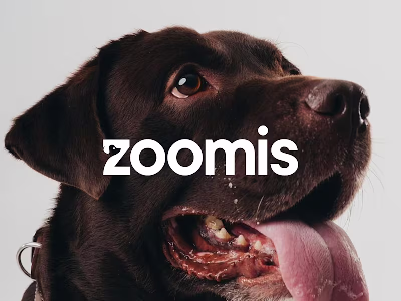 Cover image for Zoomis | Brand Identity & Collateral