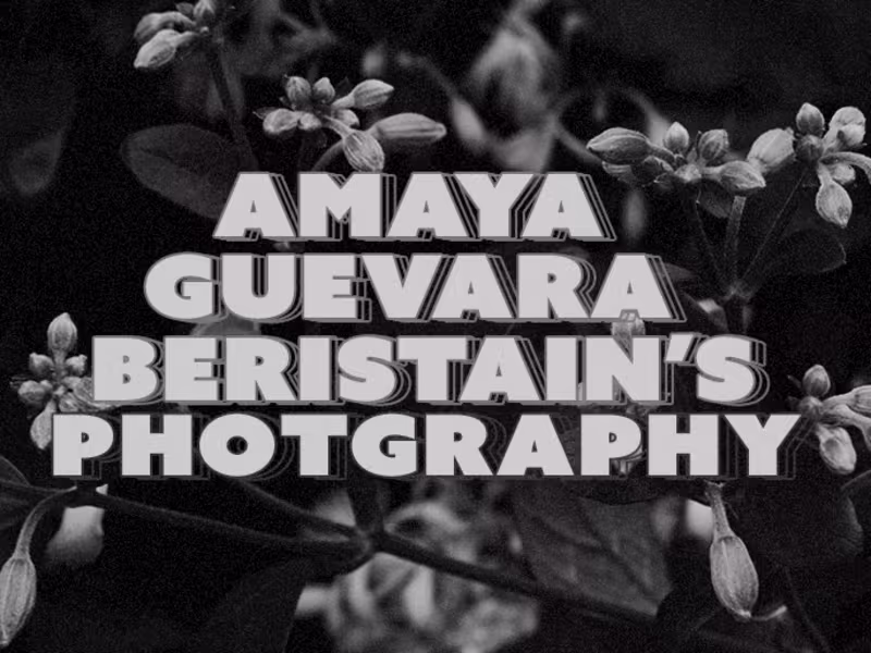Cover image for Photography | Amaya's Photographs