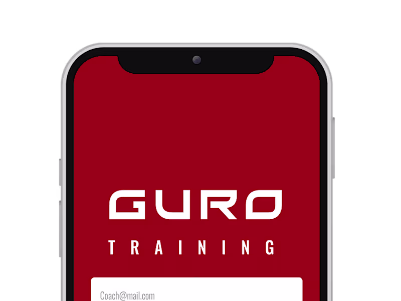 Cover image for GURO Box | Visual Designer - Developer