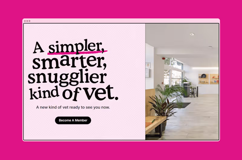 Cover image for Pickles: Vet Practice Cut 3 Hours of Daily Admin