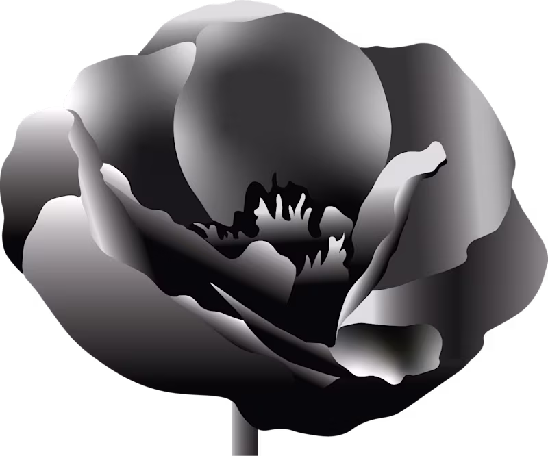 Cover image for FLOWER ASSETS
