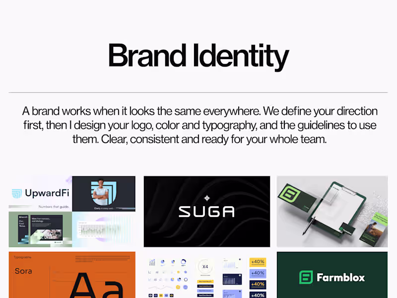 Cover image for Brand Identity + Guidelines