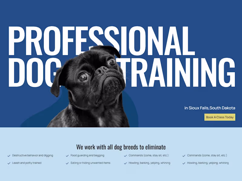 Cover image for A1 Dixie – Dog Training Landing Page (Figma + Framer)