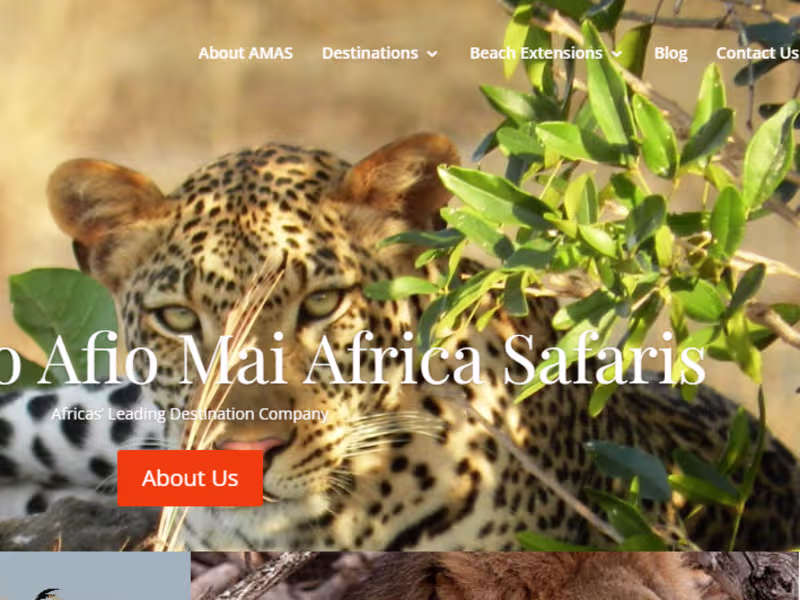 Cover image for Web Development, SEO Optimization & Marketing Consultant