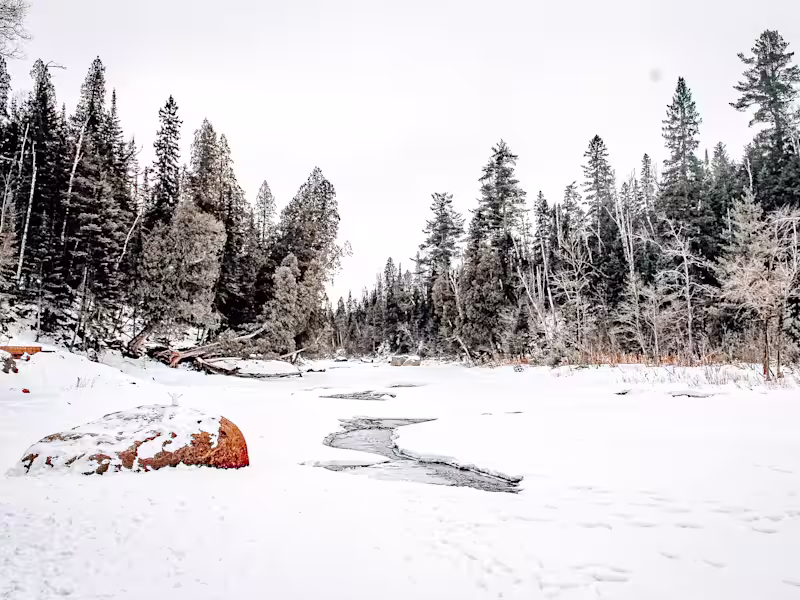 Cover image for Landscape Photography