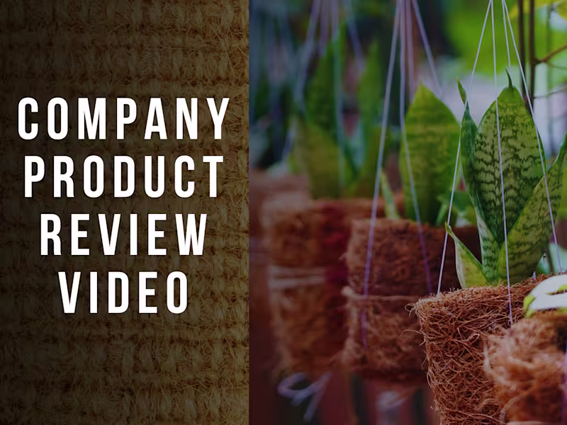Cover image for company product  review - YouTube