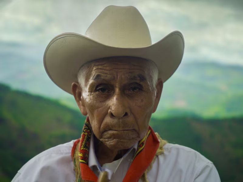 Cover image for Documentary