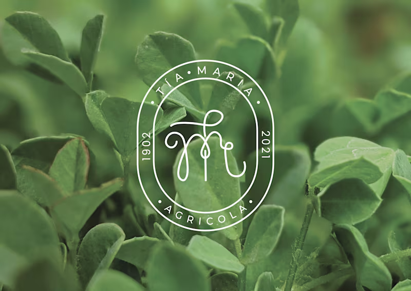 Cover image for Tía Maria Branding