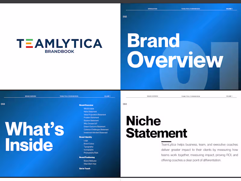 Cover image for Teamlytical Brand Guidelines Development