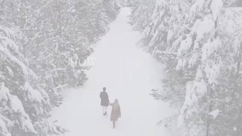 Cover image for Mysterious her book trailer