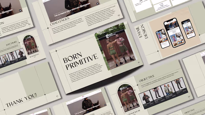 Cover image for Brand Audit Design (Investor Ready)