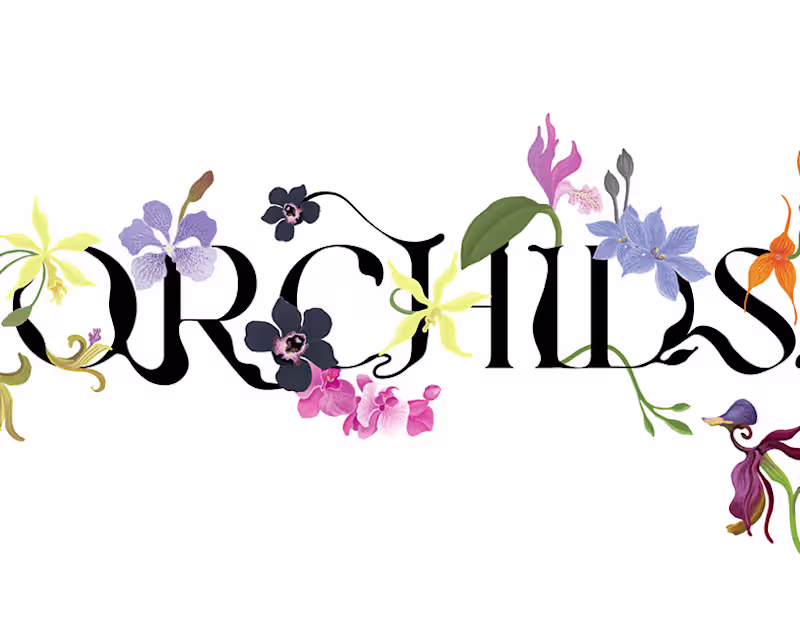 Cover image for Orchids I Illustrations
