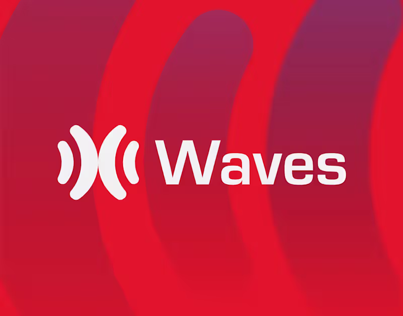 Cover image for Waves
