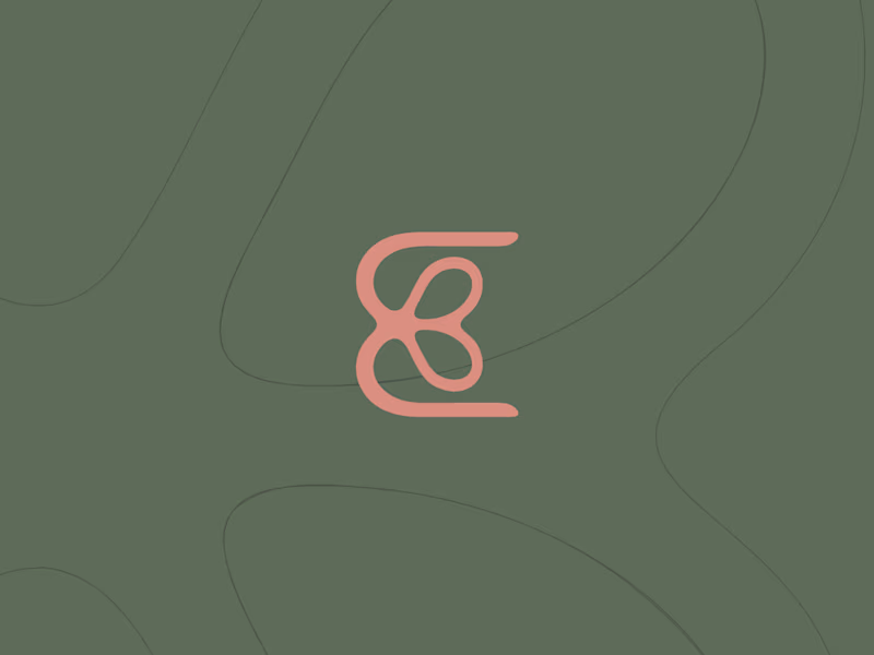 Cover image for Brand Identity Design
