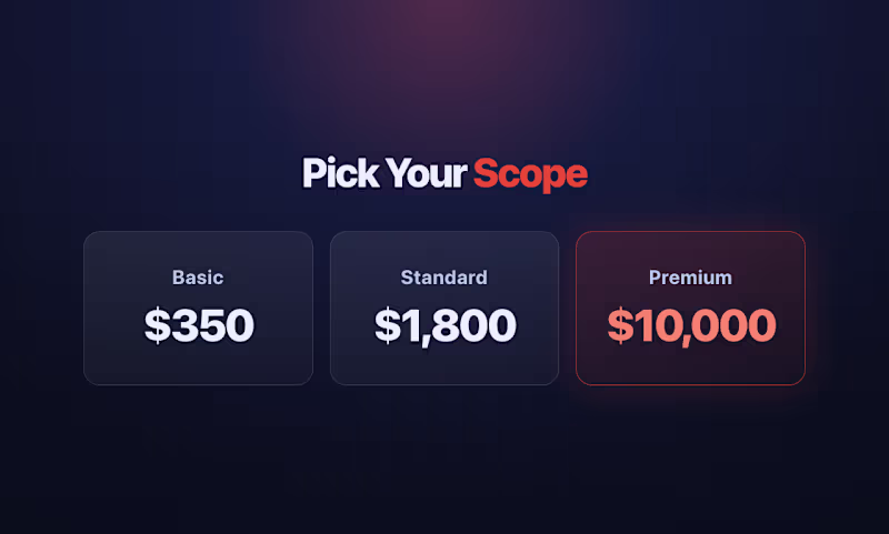 Cover image for Flexible iOS development packages designed