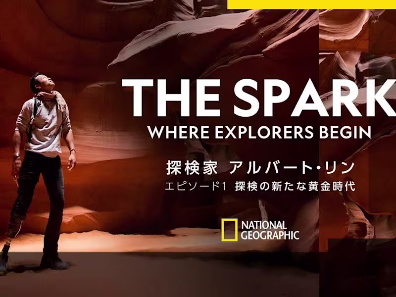 Cover image for Live-Action Documentary with Virtual Studio – NatGeo Japan