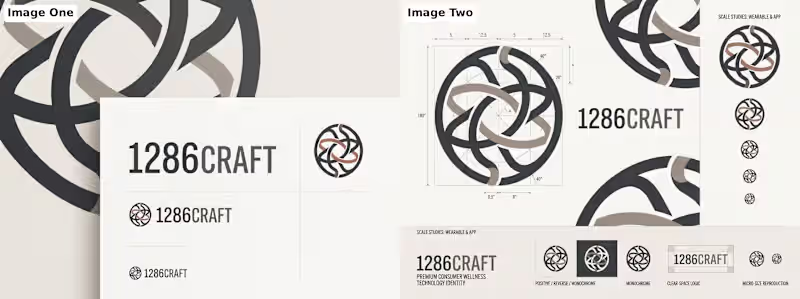 Cover image for A premium brand identity crafted