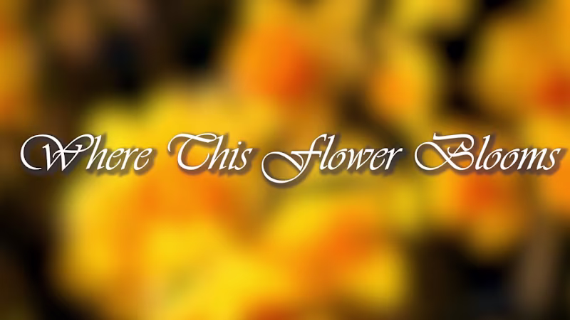 Cover image for Where This Flower Blooms - YouTube