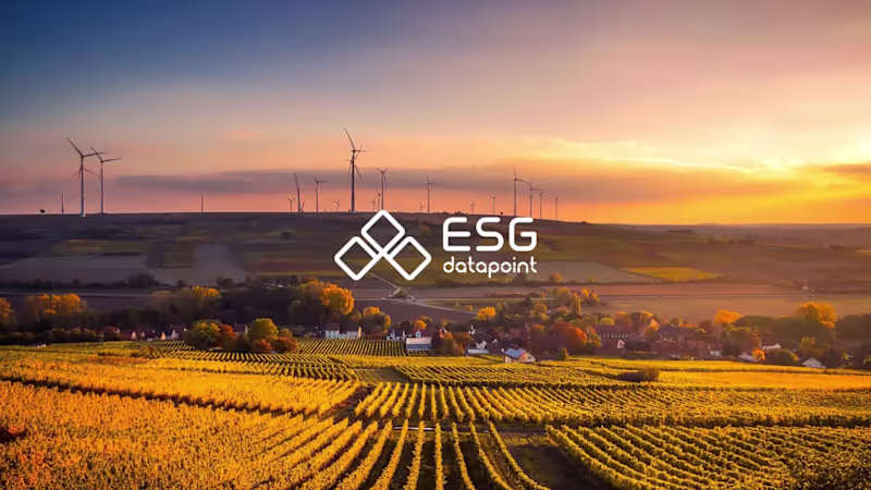 Cover image for Brand Identity Design for ESG Datapoint, in the UK