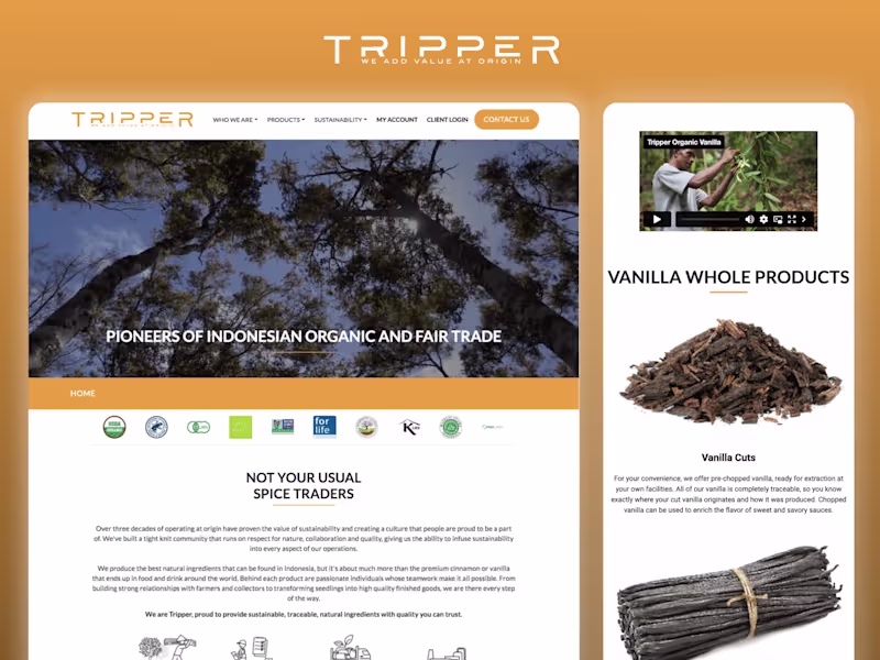 Cover image for Tripper Bali