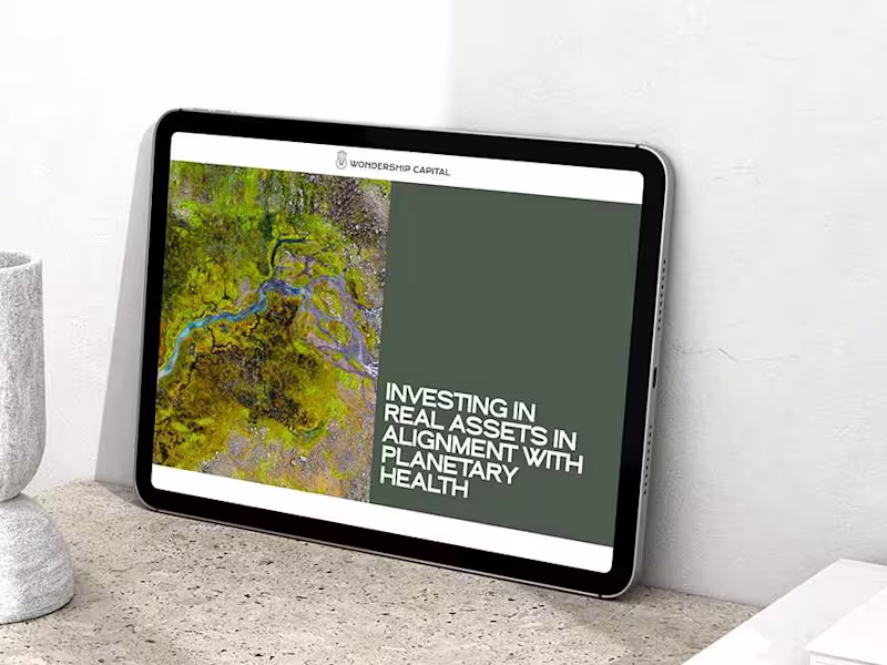 Cover image for Webflow Development