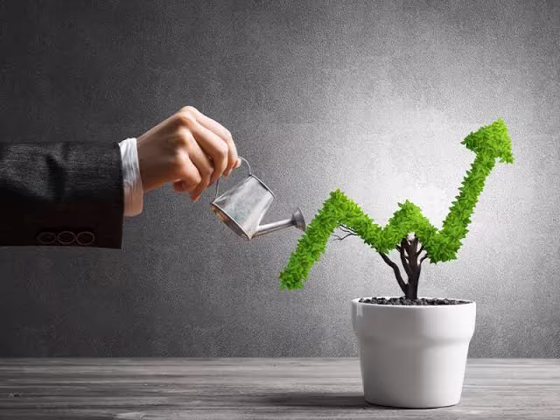 Cover image for StrategiGrow: Crafting Your Path to Success