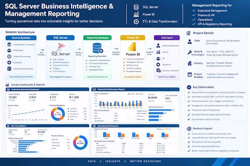 Cover image for SQL Server Business Intelligence & Management Reporting