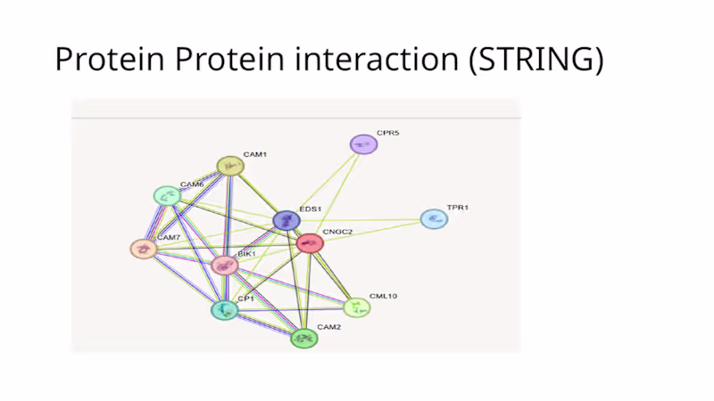 Cover image for I analyzed the protein–protein interaction