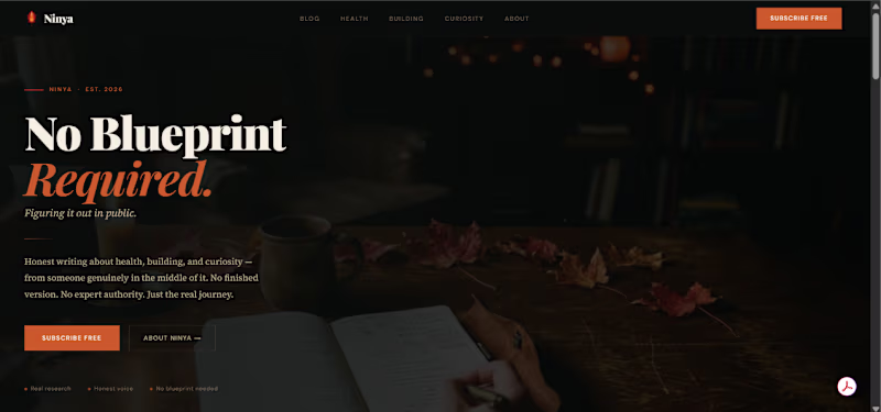 Cover image for Ninya — Brand & Website